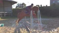 Fb img 1542746841400